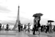The Parisian umbrellas