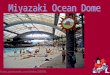 Miyazaki Ocean Dome