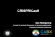 Crispr/cas9 101