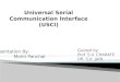 Universal Serial Communication Interface
