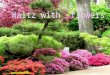 Waltz With  Flowers