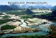 Broadscale systems in permaculture design
