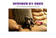 Inspired by Oreo: What My Pup Taught Me