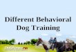 Different Behavioral Dog Training