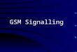 GSM Signalling