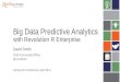 Big Data Predictive Analytics with Revolution R Enterprise (Gartner BI Summit 2014)