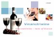 40878276 Sample Wine Marketing Plan