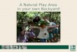 Introduction to Natural Playspaces