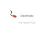 ET213 - Group 3: Electricity