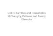 GCE Sociology Revision (AQA)- Unit 1 Changing Patterns and Family diversity (5)