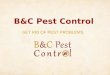 B&C Pest Control   Get Rid of Pest Problems