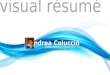 Andrea Coluccio - Visual Résumé
