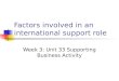 Factors Involved in an International Support Role