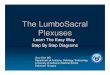 LumbaoSacral Plexuses Learn the Easy Way