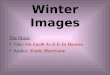 Invierno - Fotos Variadas
