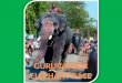 ELEPHANT RACE GURUVAYOOR