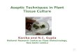 Aseptic techniques in  plant tissue culture