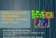 Microbiology - Noncellular Microbes - Louis Carlo Lim