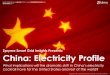 [Smart Grid Market Research] China Electricity Profile, Zpryme Smart Grid Insights, December 2011