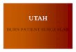 Utah Burn Patient Surge Planning