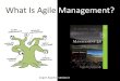 What Is Agile Management?