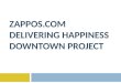 Google Ventures - Zappos - DTP - November 20, 2013