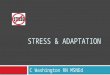 Stress & Adaptation