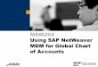 MDM204+ +Using+SAP+NetWeaver+MDM+for+Global+Chart+of+Accounts