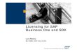 SAP Business One and Software Development Kit Licensing