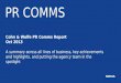 Global pr comms report oct 2013