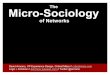 The Micro-Sociology of Networks