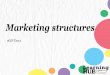 Tier 2 oGIP Marketing structures and JD