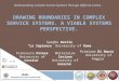 Barile S., Polese F., Saviano M., Di Nauta P., Drawing boundaries in complex service systems. A Viable Systems Perspective