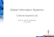 cultural aspects of information systems development
