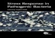 Stress response in pathogenic bacteria (advances in molecular and cellular biology series)