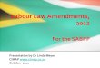 South African Labour Law Amendments 2012
