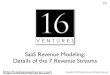Seven SaaS Revenue Streams - Updated