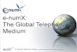 E-sky - e-NumX Presentation ( English)