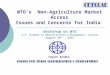 Non agriculture market_access_issues_and_concerns_for_india