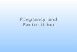 Pregnancy and parturition