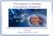 Perception is Reality: A Skeptical Viewpoint