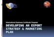 Developingan Export Strategy Marketing Plan (1)