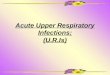 3 Acute Upper Respiratory Infections