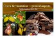 19 Cocoa Fermentation General Aspects