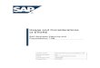 Usage and Considerations of EVDRE - SAP Business Planning and Consolidation 7.0M