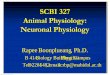 Microsoft PowerPoint - Chapter 3 Neuronal Physiology