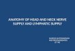 Anatomy of Head and Neck Nerve Supply and Lymphatic Drainage