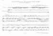 Bach - Chromatic Fantasy & Fugue in d BWV 903 (Busoni) for Cello and Piano