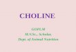 Choline Nutrition