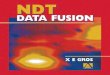 53434170 NDT Data Fusion